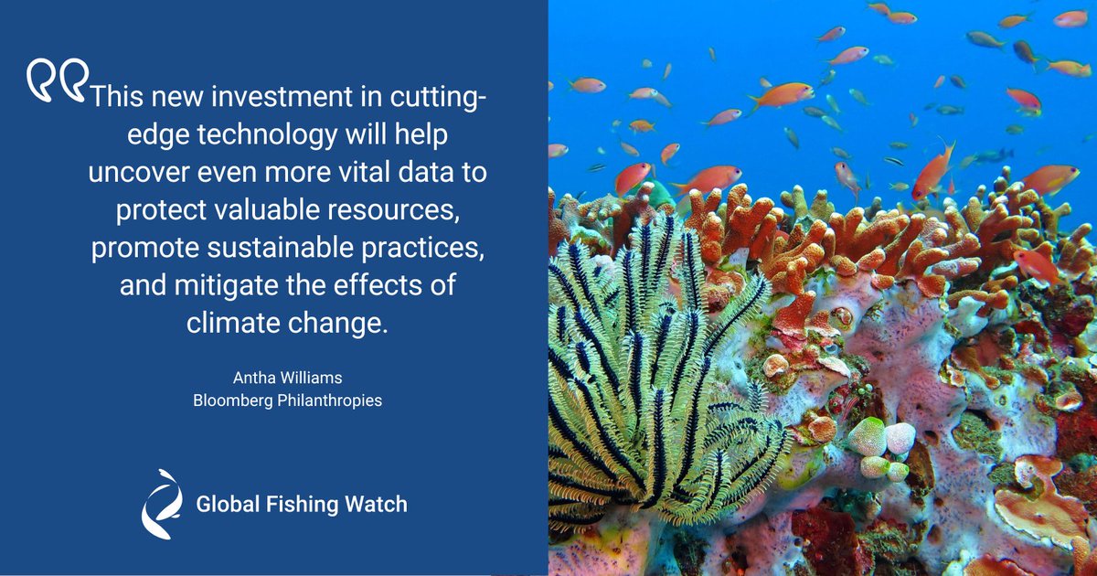 GlobalFishWatch's tweet image. 💙 Big TY to our #AudaciousProject funders for their $60M investment in our open ocean project to make the invisible visible. #ActonFamilyGiving @BallmerGroup #BechtFoundation @oakfnd @ValhallaFound #LauraandGaryLauderFamily #LydaHillPhilanthropies #SeaGrapeFoundation 
1/2