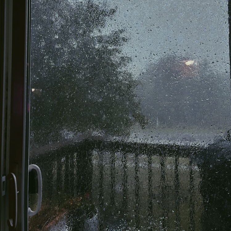 violettweets_'s tweet photo. rainy day. https://t.co/VztXo2myud
