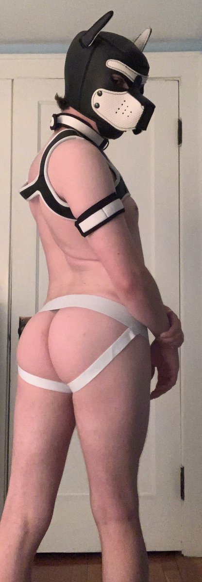 ADarrow32AD's tweet photo. New arrivals
#puppyplay #petplay #bdsm https://t.co/NF9CzkUCtC