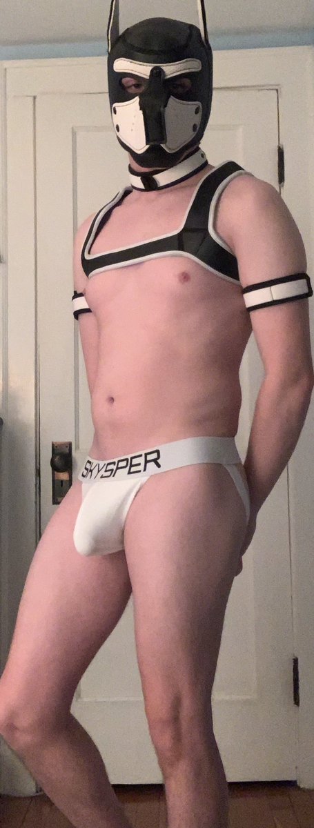 ADarrow32AD's tweet photo. New arrivals
#puppyplay #petplay #bdsm https://t.co/NF9CzkUCtC