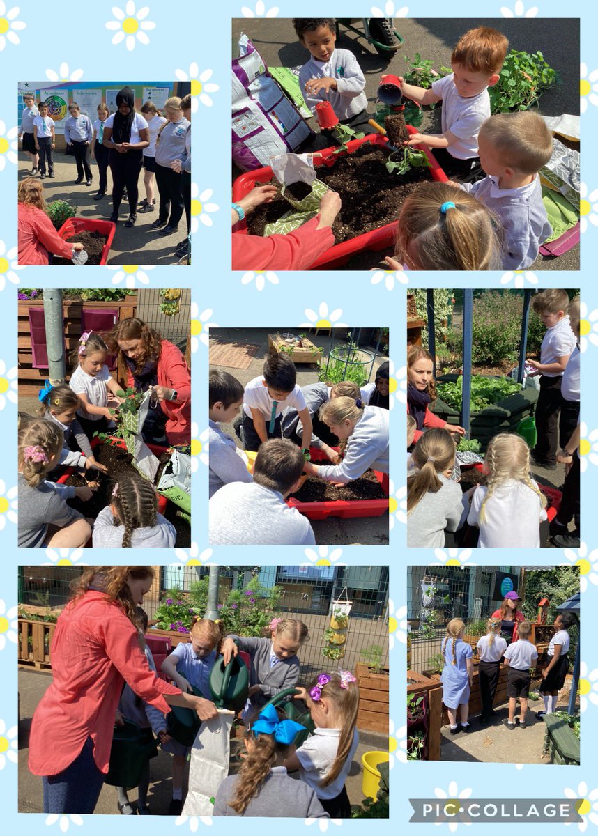 BriarHillSch's tweet photo. Alice @SaveStreetTrees spent the day with children from 3-11 sharing her knowledge and inspiring #growyourown 
@gardenorganicuk @EcoSchools https://t.co/rXm1jaZTaS