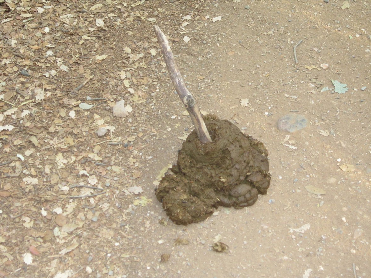 Un tal Toni tweet media