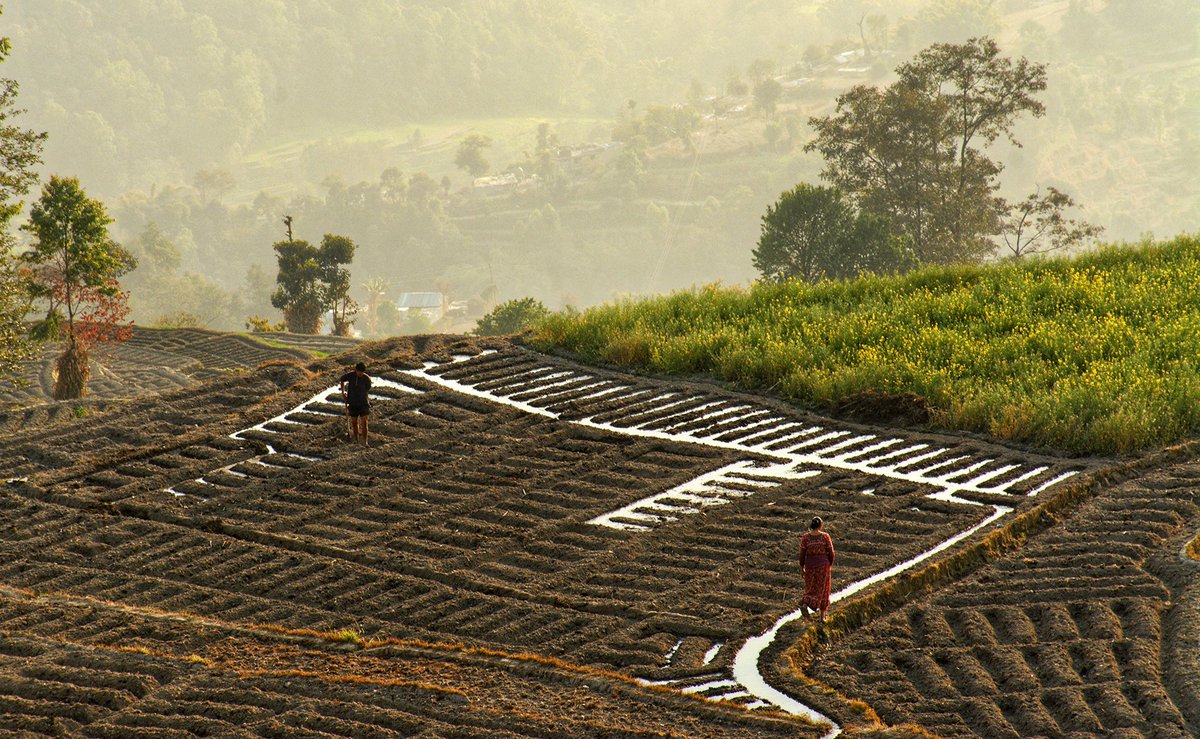 gm
Nepal
#NFTCollection #NFTartist #NFT #nftcollectors #nftphotography #NFTCommmunity