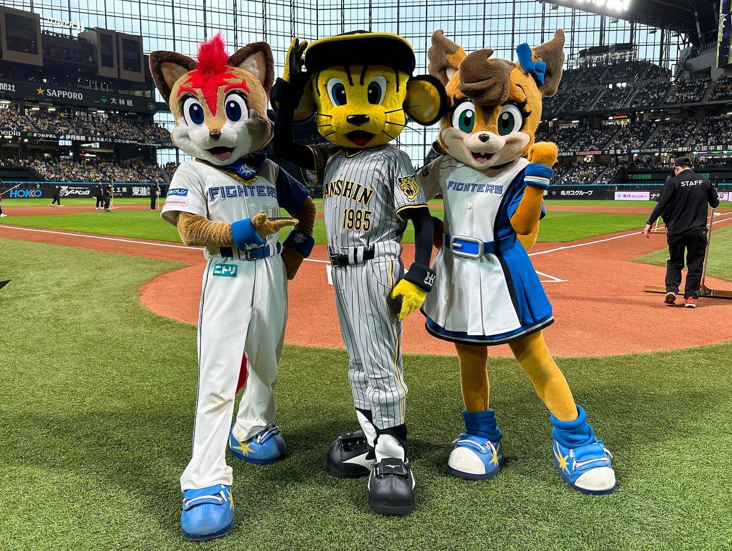 阪神タイガース | 3/6(木)本日行われた全体練習の様子を写真でお