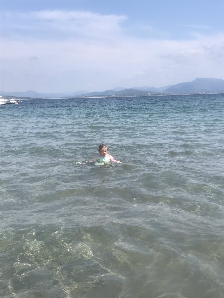 ☘️ Today in Ireland ☘️ tweet media