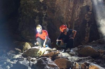 SmartChoiceLife's tweet image. Findings indicate some cultural and symbolic behavior unique to humans and Neanderthals was also present in extinct species Homo naledi. advisor.news/new-homo-naled…