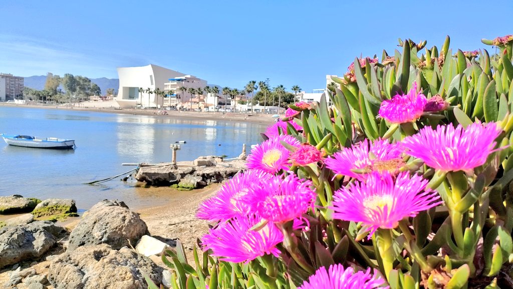 jfraladevesa's tweet photo. Feliz día de la región de Murcia https://t.co/UtrEy8qBsW