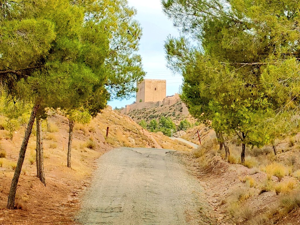 jfraladevesa's tweet photo. Feliz día de la región de Murcia https://t.co/UtrEy8qBsW