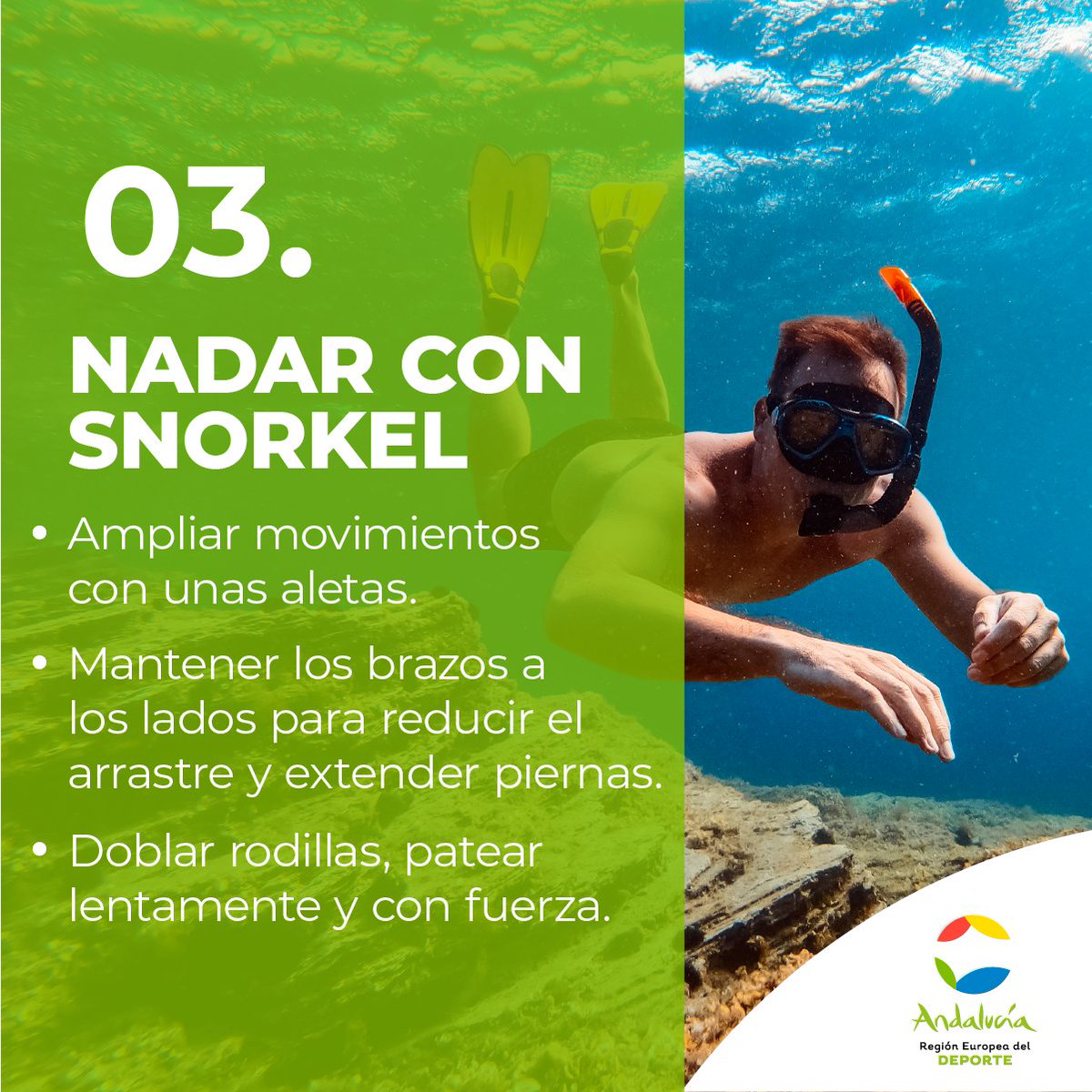 🌅 ¿Eres de los que cuentan las semanas para que llegue el verano? ¿Te gustan los deportes de agua? ¿Quieres comenzar en el mundo del Snorkel? 

Te dejamos 4 TIPS para principiantes 🤿 👇

#AndalucíaElLugarDelDeporte #Andalucía