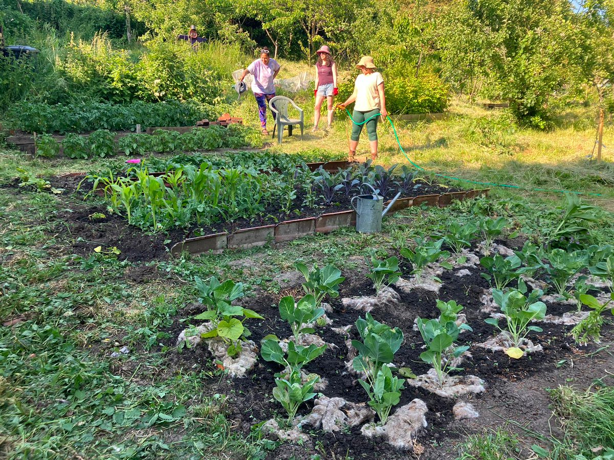 Bristol Parks (@bristolparks) on Twitter photo Our <a href="/blaise_plants/">Blaise Plant Nursery</a> veggies are being well cared for by volunteers at Beaufort road allotments until they're ready for the local Food Bank.
Great to see this community effort in action again for 2023
#peatfree #bristolclimateaction
@FeedingBristol <a href="/Bristolfoodnet/">Bristol Food Network</a> <a href="/BristolCouncil/">Bristol City Council</a> Our <a href="/blaise_plants/">Blaise Plant Nursery</a> veggies are being well cared for by volunteers at Beaufort road allotments until they're ready for the local Food Bank.
Great to see this community effort in action again for 2023
#peatfree #bristolclimateaction
@FeedingBristol <a href="/Bristolfoodnet/">Bristol Food Network</a> <a href="/BristolCouncil/">Bristol City Council</a>