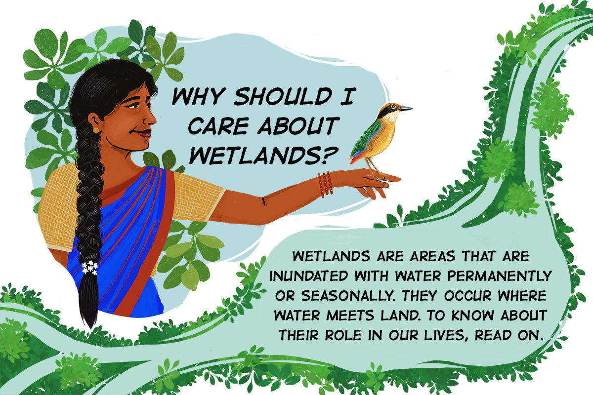 Ramveer Tanwar, a former engineer, has revived around 20 ponds and lakes in Noida and Greater Noida region #India. Illustration by Swati Kharbanda for Mongabay #WetlandCity