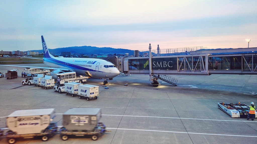 今から乗る飛行機ではないけど情報量が多かったので(笑)カーゴかわいい。