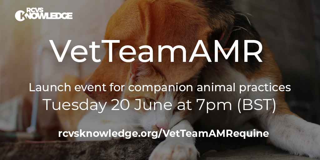 We are excited to be launching #VetTeamAMR which will offer free, evidence-based resources and tools to support responsible antimicrobial use by equine, companion, and farm teams.  Join us on Tuesday 20 June: rcvsknowledge.org/VetTeamAMRcomp…