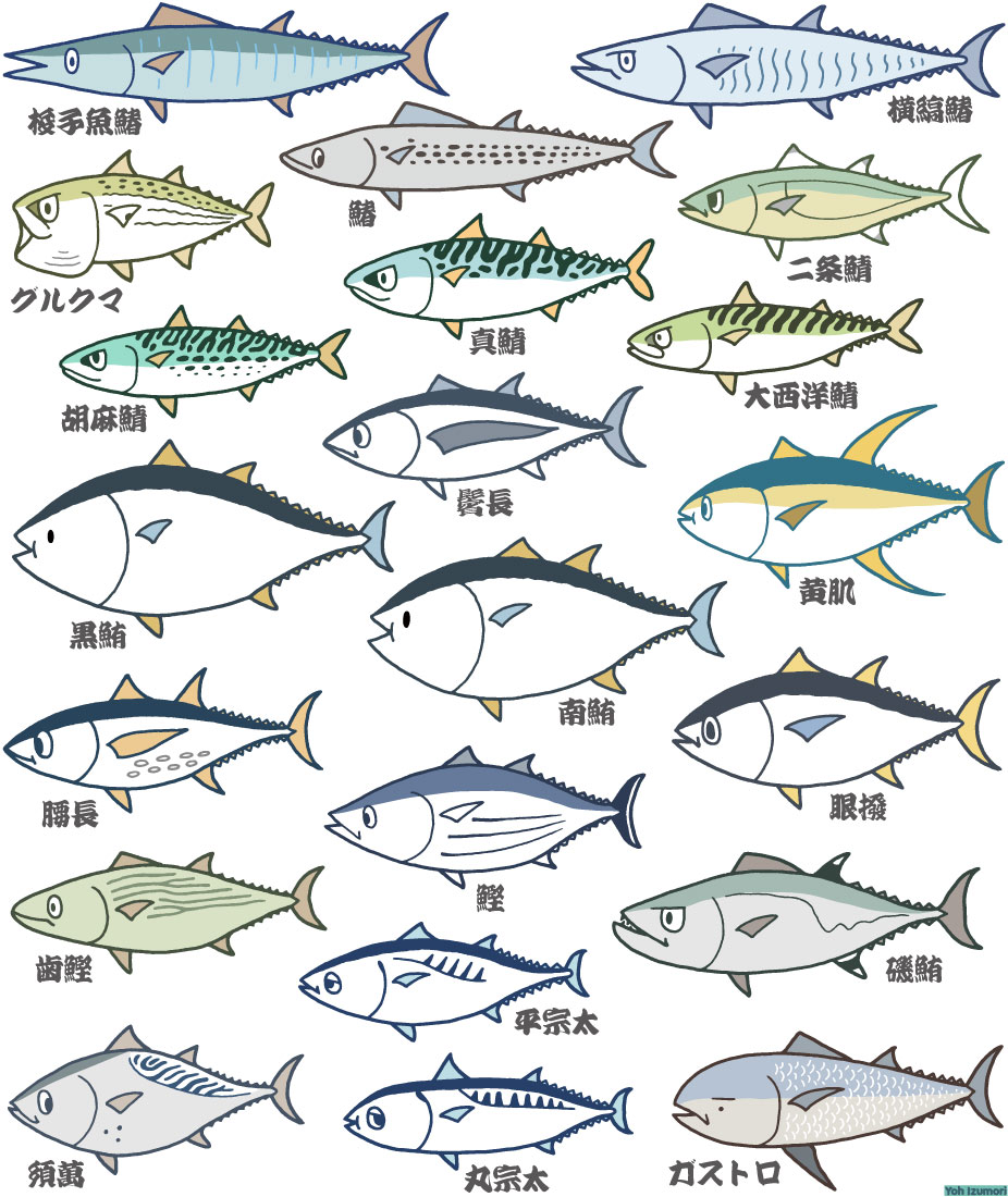 【 #SUZURIのTシャツセール は6月11日(日)まで! 】
今回もたくさんのご利用ありがとうございます。サメTシャツ以外にも色々な生き物イラストが揃っていますのでお見逃しなく!  
https://t.co/CGxE8KBTDm 