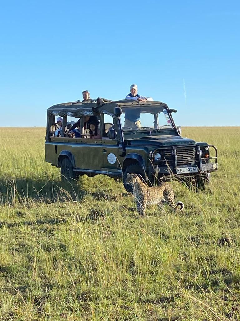 MaraIntrepids's tweet photo. This week has been good with the cats. The weather was good and very favorable for the exciting game viewing. The famous cats of Maasai Mara were all going out in all beauty and glamour.
#Journeywithheritagekenya #ExploreMIC #MaasaiMara https://t.co/LrEZSqIdmU