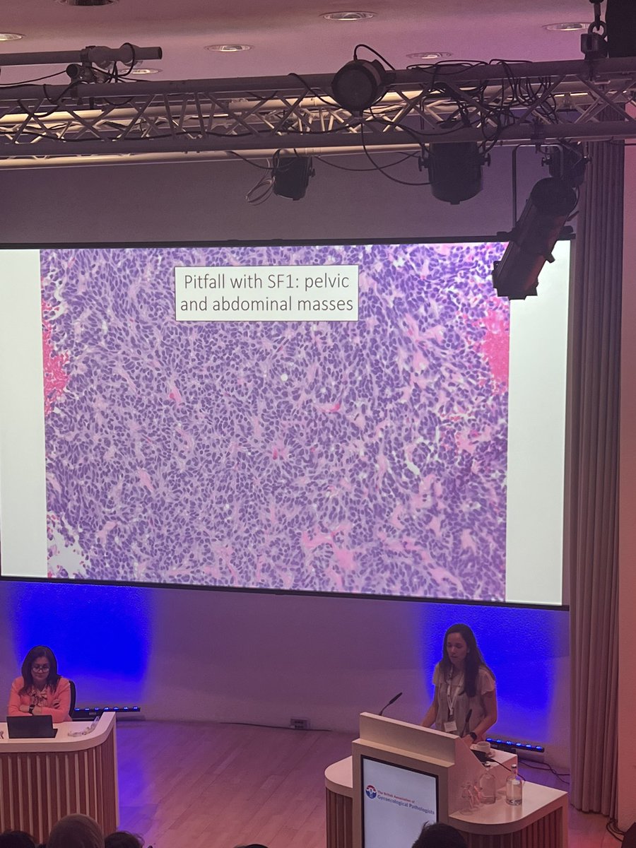 The British Assoc of Gynaecological Pathology tweet media