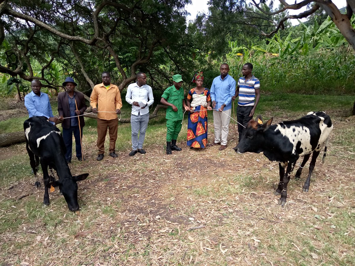 Karama Sector tweet media