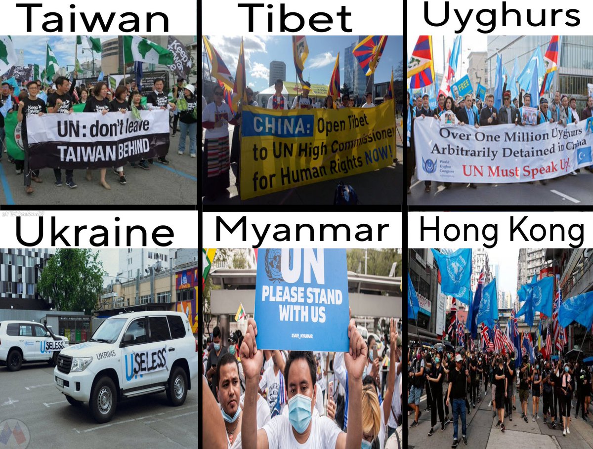 TaiwanFreedom89's tweet photo. Remember, the UN exists if you ever feel useless. https://t.co/p9mGdAwDoW