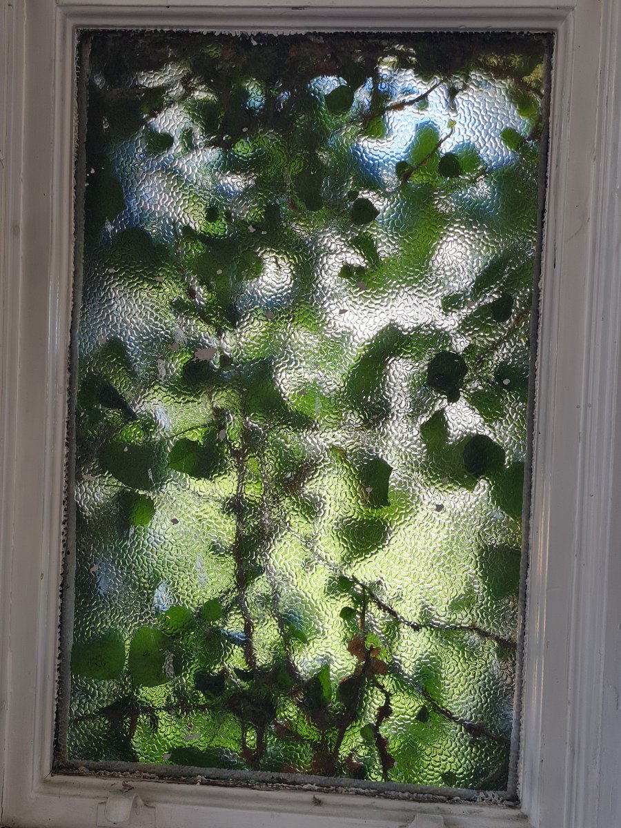 Green window.
#aroomwithaview
