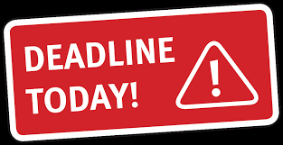 Rachel Horne tweet media