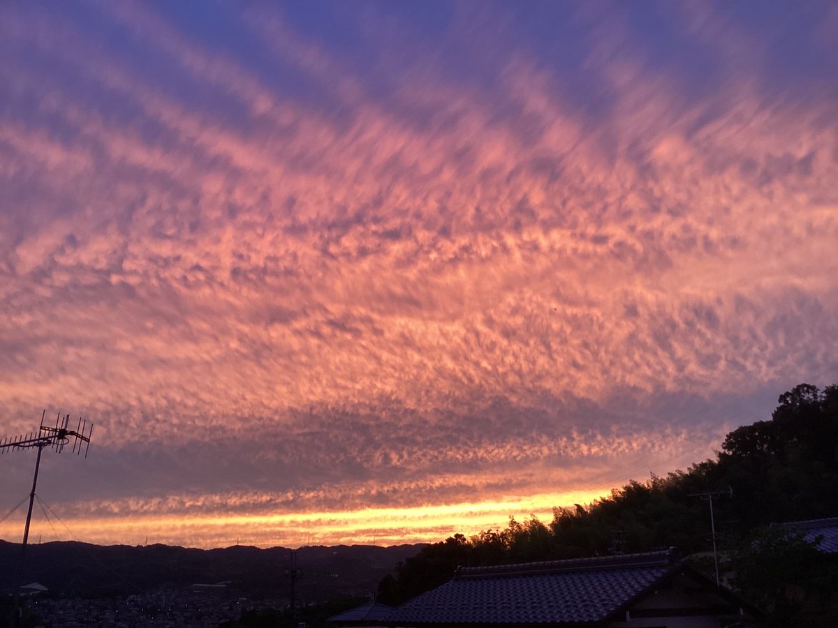 絹子 tweet media