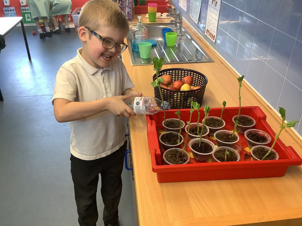 PrimaryBeaumont's tweet photo. Squirrels have made fruit salad using fruit grown in the UK. They enjoyed trying different berries and different varieties of apples. They found out their raspberries and strawberries were grown in Suffolk, which started a great conversation about reducing our carbon footprint. https://t.co/RupfgRXU0J