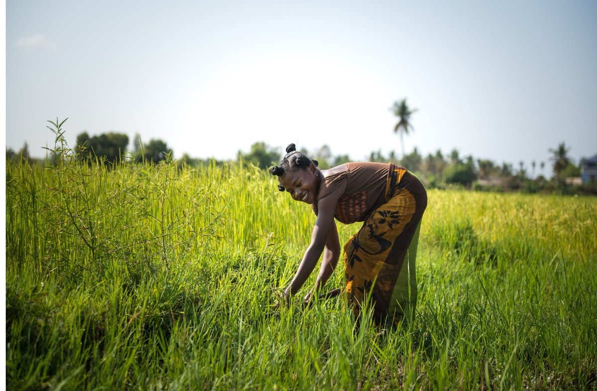 #DYK?

Providing #women with #equalaccess to resources (e.g. agricultural water) would result in:

👉20–30% increase in farm yields;
👉2.5–4.0% growth in agricultural output of several developing countries;
👉12–17% reduction in number of hungry people 

📖unesdoc.unesco.org/ark:/48223/pf0…