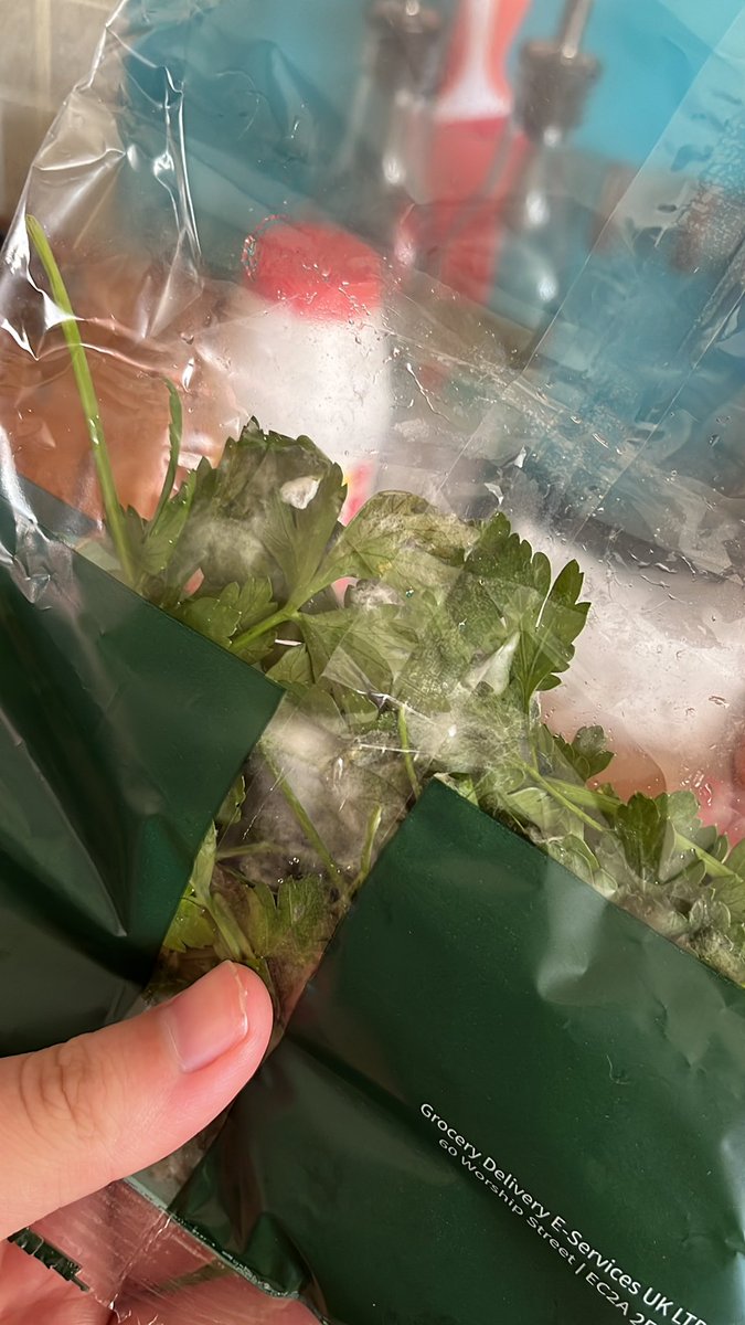 Oh okay we have mouldy parsley in our newest hellofresh box