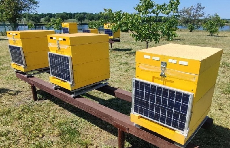 cce_info's tweet photo. 🐝📲 AmoHive's IT apiary: 10 polypropylene hives with solar panels and sensors. Control with your phone. Get hive info, GPS navigation, and manage via NFT. 🍯🌞📡💻 Join the buzz! #AmoHive #ITApiary #SmartBeekeeping #NFT #Innovation #cryptocoinexpert #tokenization https://t.co/UtqWOCZpyZ