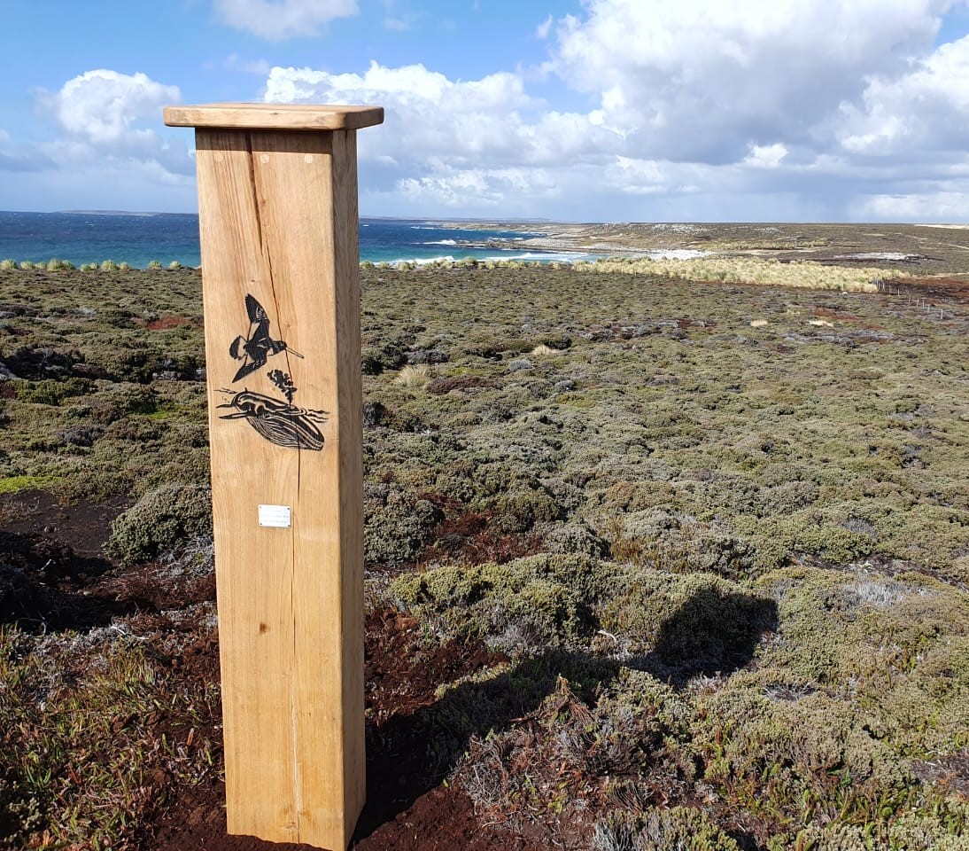 This wins the award for our most long distance installation, a #citizenscience selfie-station in the Falkland Islands. Helping to monitor progress on a habitat restoration project. Beautiful @clennonvalley artwork across the world! #givingnatureaboost #AntarcticResearchTrust