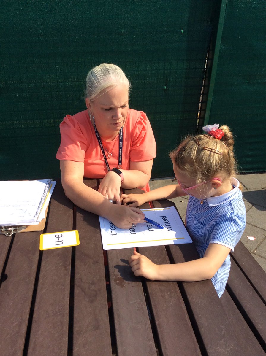 Foxfield Year 1 Juniper tweet media