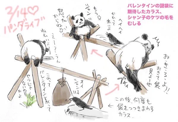 小庭シャンシャンの思い出