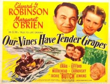TCMComingUp's tweet photo. #ComingUpOnTCM
OUR VINES HAVE TENDER GRAPES (1945) #EdwardGRobinson #MargaretOBrien #AgnesMoorehead
Dir.: #RoyRowland 5:00 AM PT
A Norwegian farmer tries to raise his daughter in a small Wisconsin town.
1h 45m | Drama | TV-PG
#TCM #TCMParty https://t.co/1Oks3Pnczg