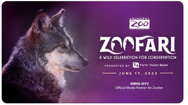 Tune in to <a href="/Sunny95News/">Sunny 95 News</a> this morning at 7:40 am ish -- I'm talking with <a href="/DinoTrip/">Dino Tripodis</a> about next weekend's #zoofari... and it'll be your change to win tickets to the event and support conservation.  <a href="/ColumbusZoo/">Columbus Zoo</a>