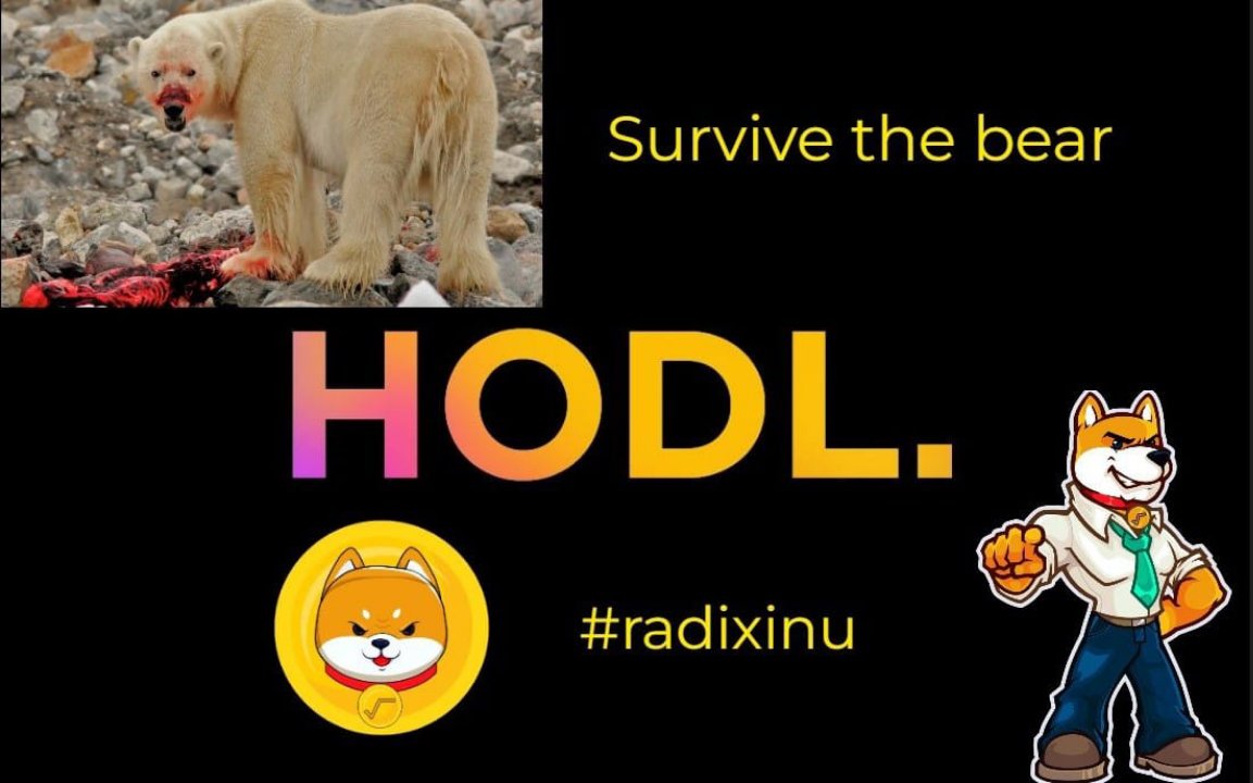 RobSea2's tweet photo. #radixinu coming out of the crypto winter hot. Babylon looming for $xrd. Lots to be excited about. Looking forward to seeing where this project goes. π π https://t.co/HYeavqV4hq