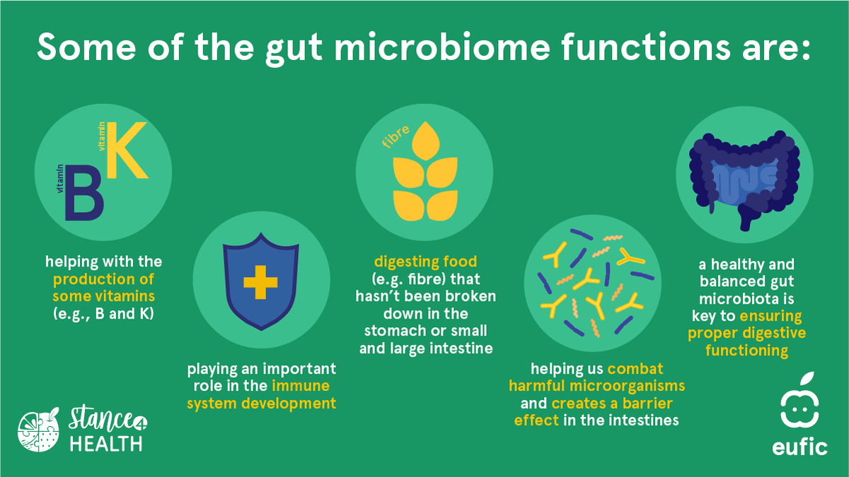 🤔🦠 Did you know? Our #GutMicrobiome is a multitasking powerhouse! It performs crucial functions such as aiding digestion, supporting immunity, and influencing mood. That's why nourishing it with a healthy and varied diet is so important! 👇