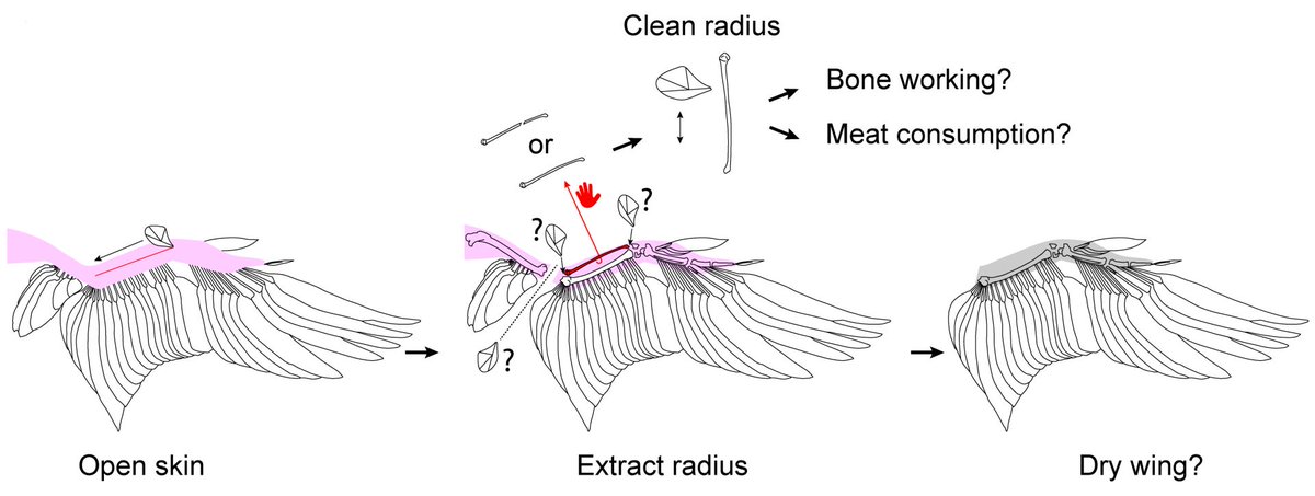Institute of Natural Sciences Belgium tweet media