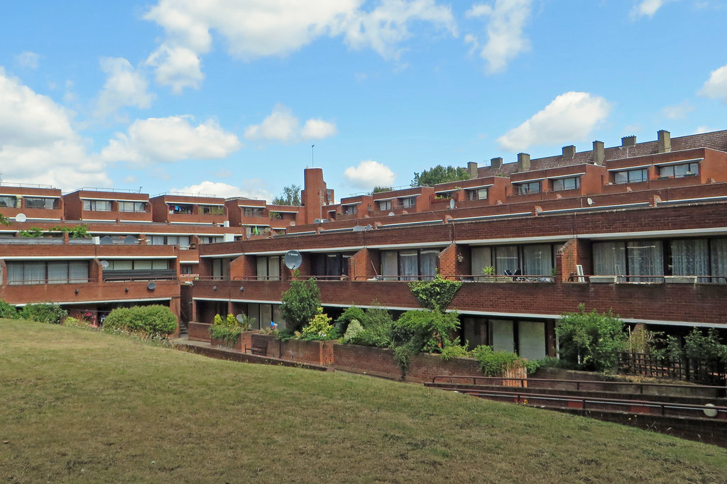 Will Petty 🌳🌳 tweet media