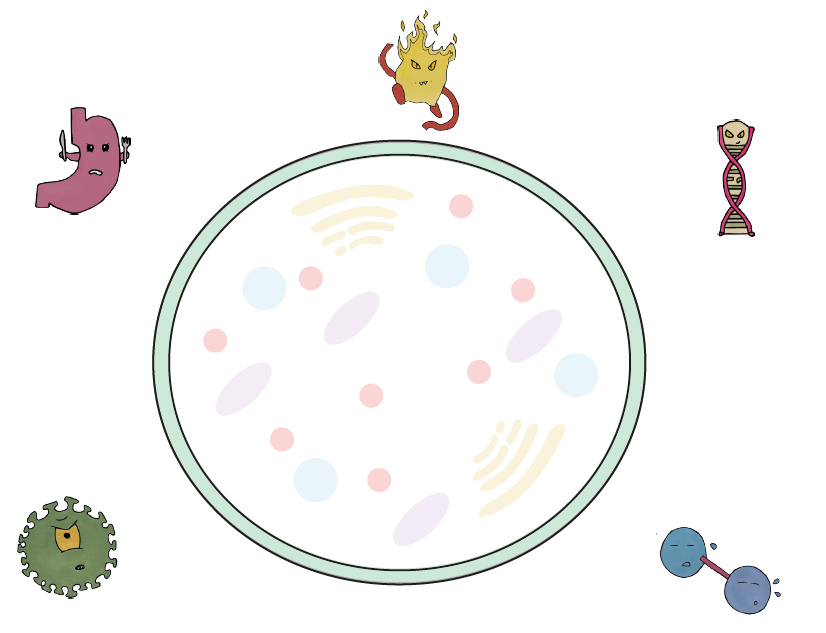 Can you keep your #cell alive? The FREE #CellSurvival #science #boardgame has had a SPECTACULAR revamp! Print it now and learn some amazing #biology 👇
doi.org/10.20933/10000…

<a href="/UoDCAHID/">CAHID</a> <a href="/CarolineErolin/">Dr Caroline Erolin</a> <a href="/engageUoD/">Engage at University of Dundee</a> <a href="/UoDLifeSciences/">UoD Life Sciences</a> <a href="/mrcppu/">MRC PPU</a> <a href="/DrTomTORC/">Tom Williams (he/him)</a> <a href="/ScotSTEMAmb/">STEM Ambassadors in Scotland</a> <a href="/STEMAmbassadors/">STEM Ambassadors</a>