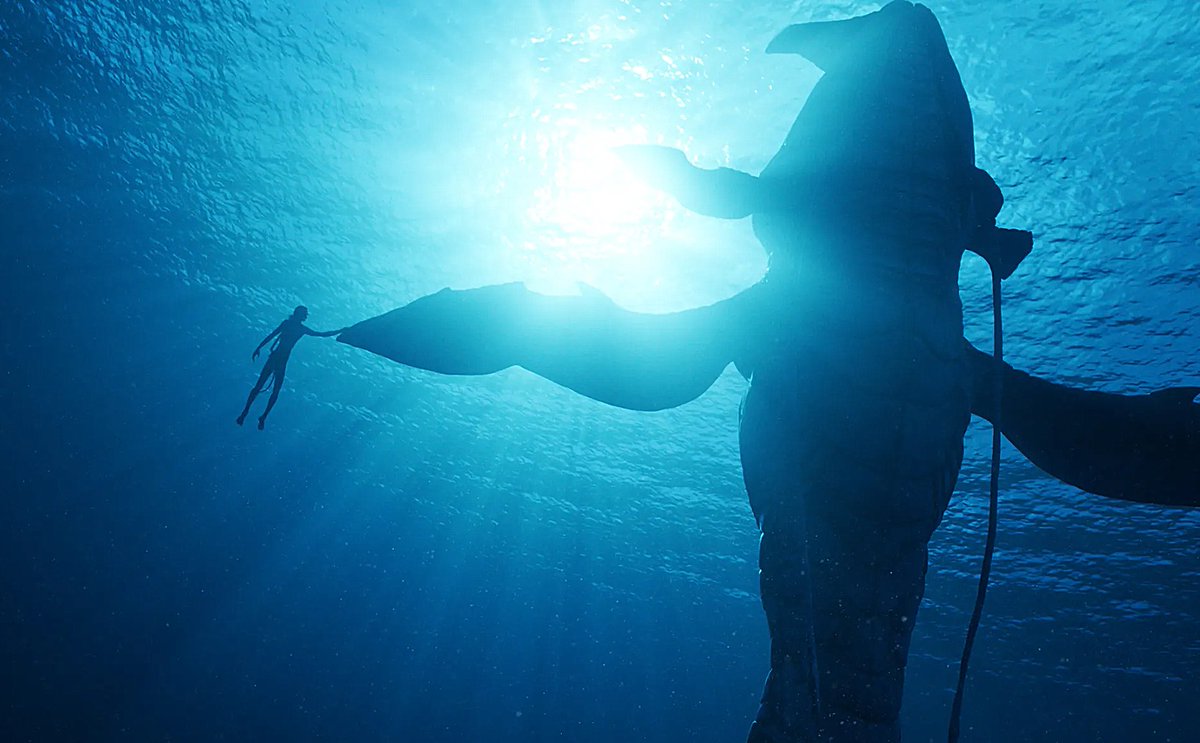 handokotjung's tweet photo. Avatar: The Way of Water ternyata udah bisa ditonton di Disney+ Hotstar. Paling suka nonton adegan lautnya.

Memang kalo ngeliat laut yang jernih gini tuh entah kenapa rasanya nyenengin. https://t.co/WTfdPHs5mX
