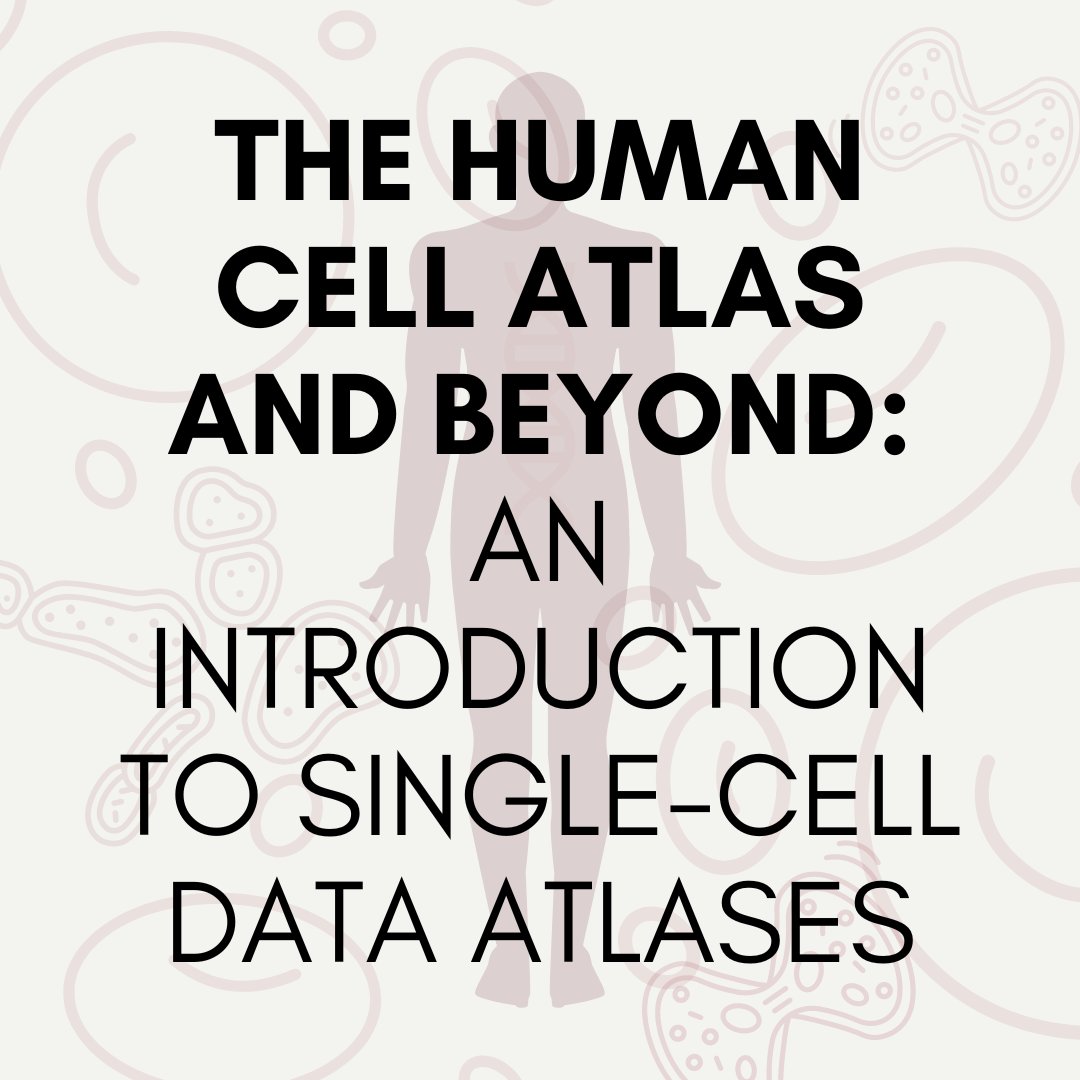 A new blog post is out! 

Discover why single-cell atlases matter and what atlases are out there!

Read here: bit.ly/3MVMJGq

#singlecell #scRNAseq