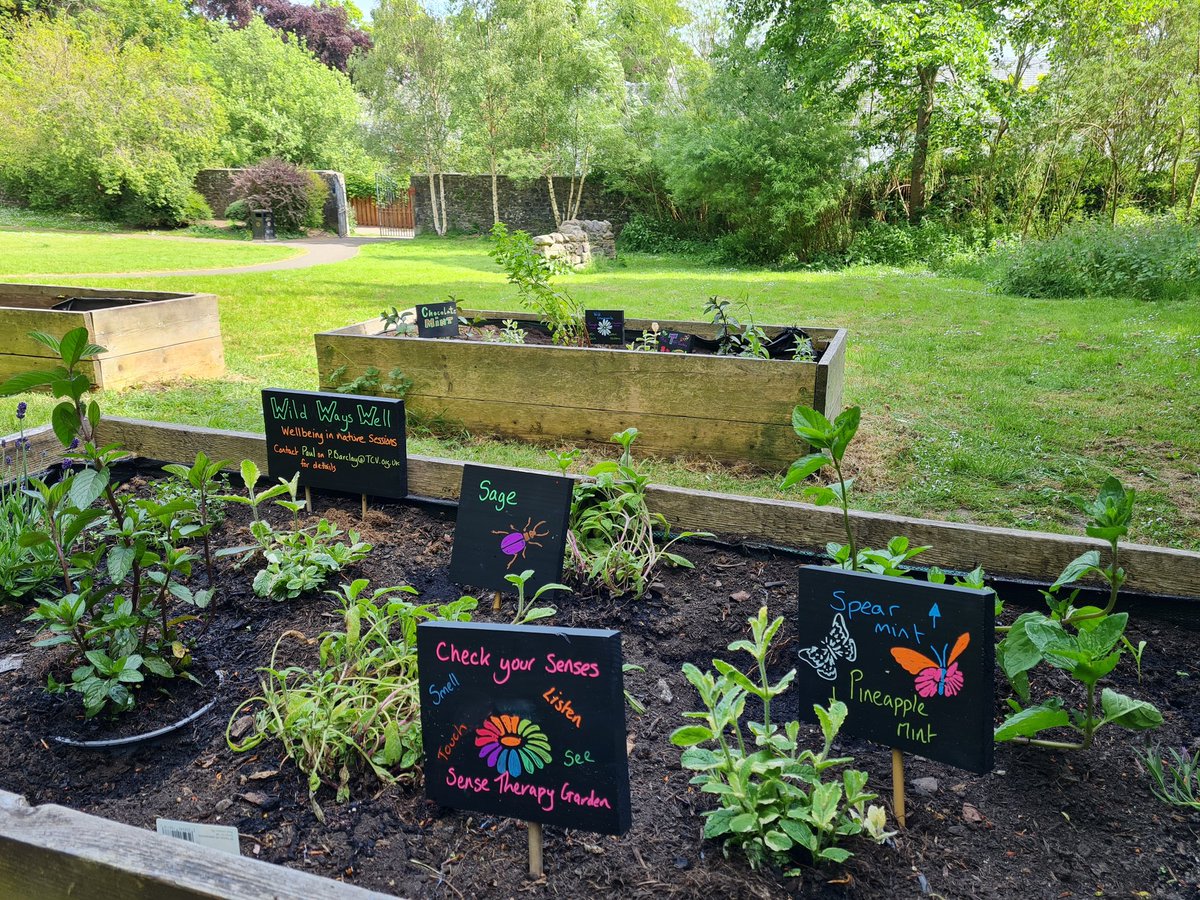 TCVScotland's tweet photo. It's not all hard work, our Livingston Wild Ways Well group got creative making signs for the raised beds in Howden Walled Garden. We then had a well deserved break with some Fennel tea - which one volunteer claimed tastes like the bottom of a guinea pigs cage? #HowDoTheyKnow? https://t.co/kUwAU8EK2d