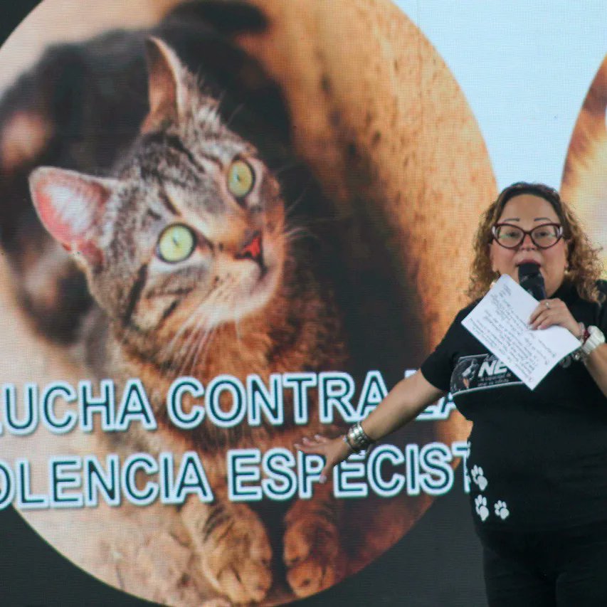 SomosMeven's tweet photo. #convida
Congresos de las juventud por la vida en el planeta 

La formación es fundamental para quienes luchamos y defendemos la Vida en el Planeta.

#vida
#ecologia 
#juventud 
#cambioclimatico https://t.co/YzMarJkyGf