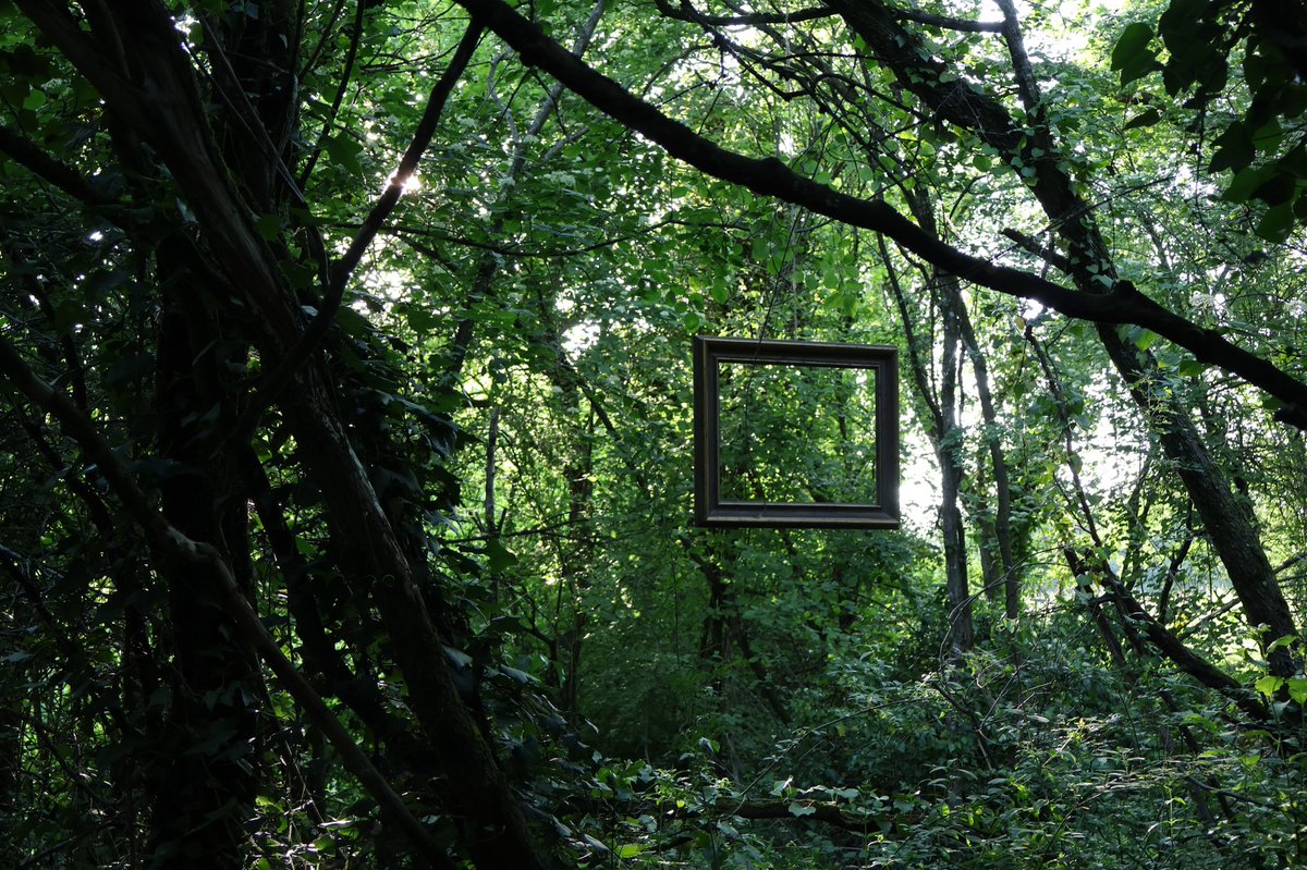 BlockNature4's tweet image. Block-Nature 4 dimensions concept 

                               ⬆️
                         ⬅️🖼➡️
                               ⬇️

#NFT #NFTartist #frameart #digitalart #4dimension #Museums2023 #artbasel #web3 #innovation #art #nature #new