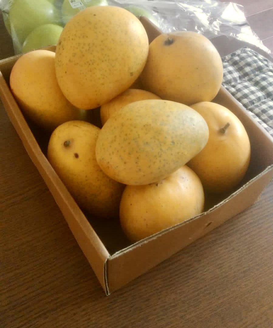 siddharth ☻ tweet media