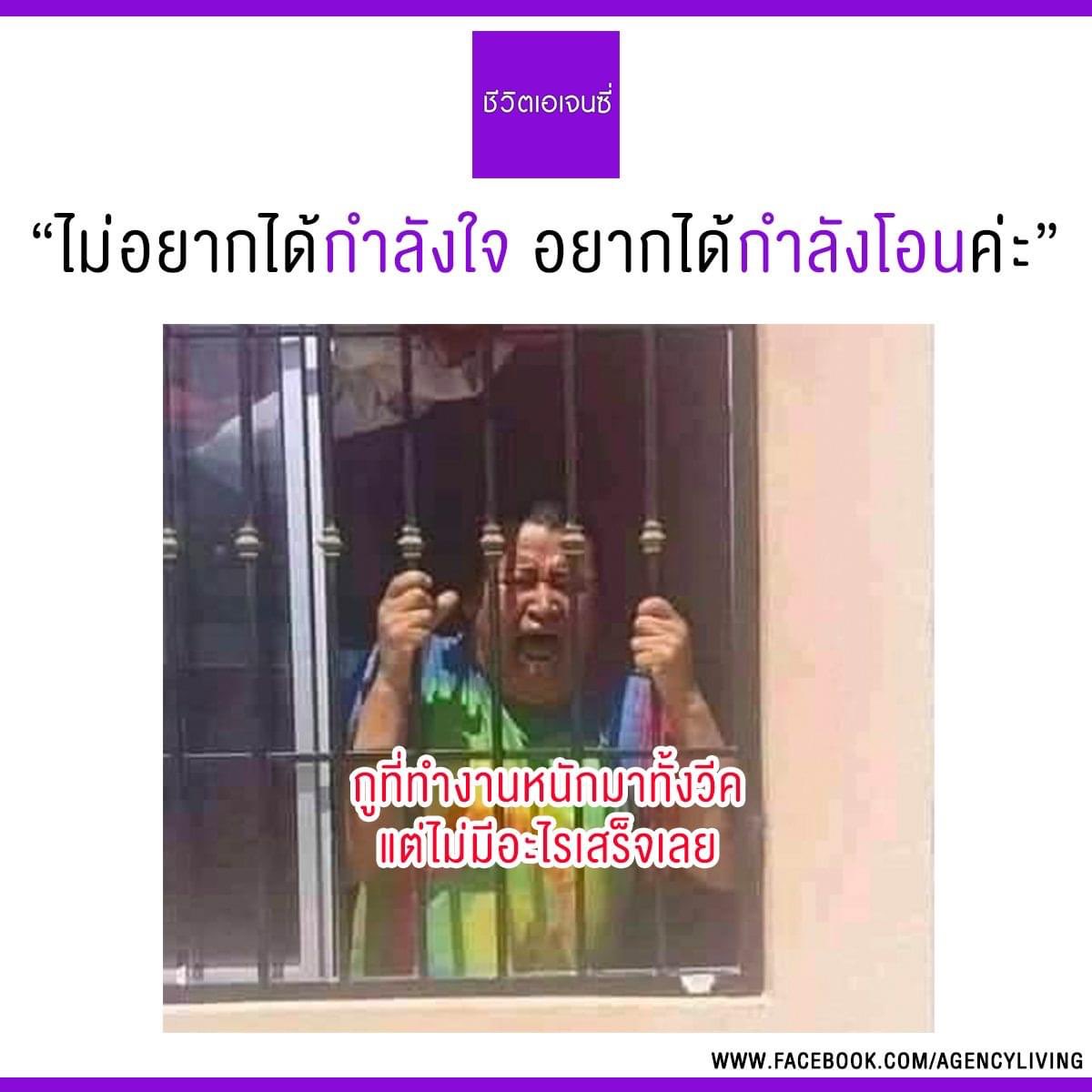 ชีวิตเอเจนซี่ tweet media