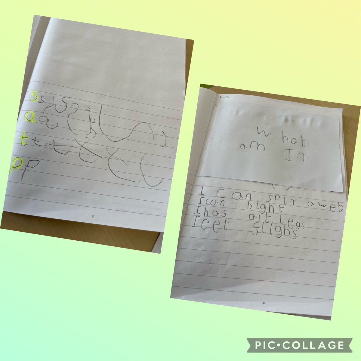 mrsmyers2019's tweet photo. Great to see the progress in writing in reception @NewSilksAcademy. Can you guess which minibeast it is? 🐝🦋🕷️
@LettersSounds https://t.co/gRig5fwHi1