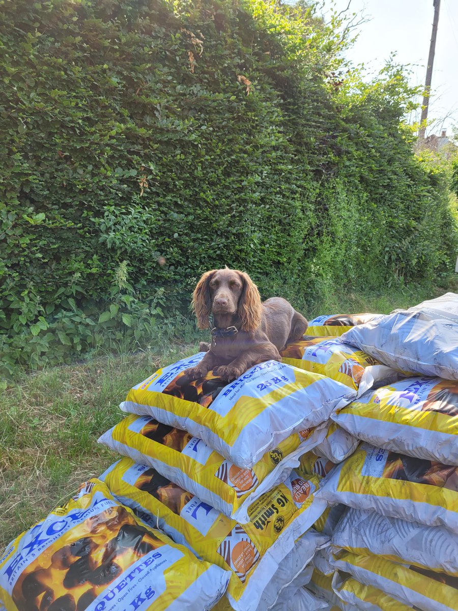 FuelsJules's tweet photo. Summer range and Summer prices! 

As always its best or order ahead, especially for Charcoal and Patio gas as we only keep a limited stock.

To order please text us on:
07927 214205 

Cheers,
Andrew, Bob and Bessie https://t.co/bN9R8IJbhw