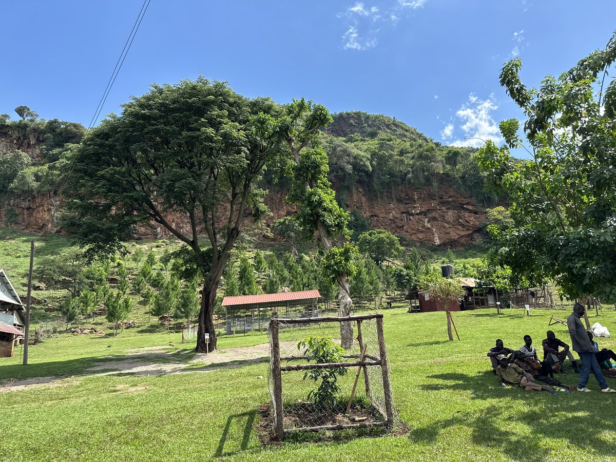xander_ochieng's tweet photo. The #OsukuruHills in Tororo along Malaba-Jinja rd
Find time and come #ExploreTororo
@wakoko_ronald 
@RedefiningTro 
@em_wakanda 
@adholabae 
@Jadwong 
@iamshadrachobbo 
@cobbo3 
@margret19960 
@Oo4no 
@MTWAUganda 
@TourismBoardUg https://t.co/hwR7iOqGRX