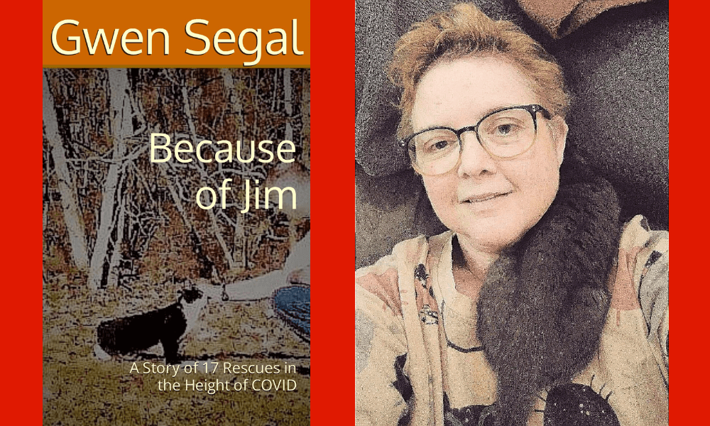 Catfluence's tweet photo. Feel Good Friday: In a recent blog post, Gwen W. Segal of Wild Serenity Cat Rescue Fund &amp; @BecauseJim, talks about how one special cat gave her a new life mission. https://t.co/DYxX8vz9Jf 

#catfluence #cats #catblog #becauseofjim #rescuepets https://t.co/9trGG3fgTO